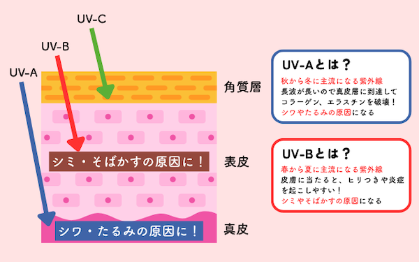 見出しを追加 (16).png