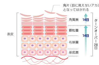 20150513v.gif